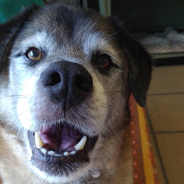 08474c24 5b6d 42d6 9f90 56b288712b61 1563506291575