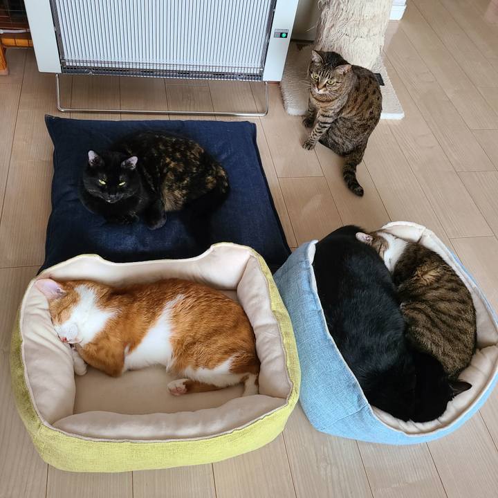 08476b2f b853 4d75 af81 4d12b8bea7f8 1673932288901