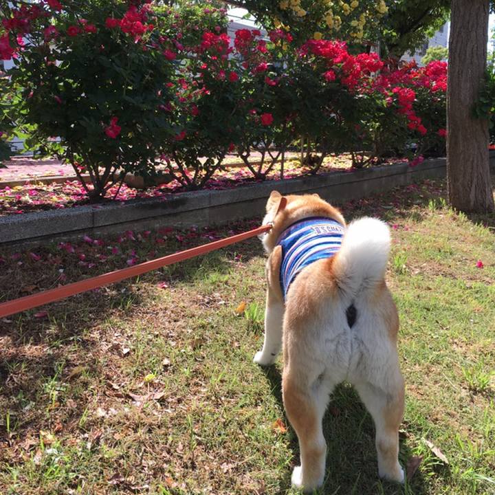 0847fd39 3f9e 43a6 a340 6f0816d3eaf5 1558489005442