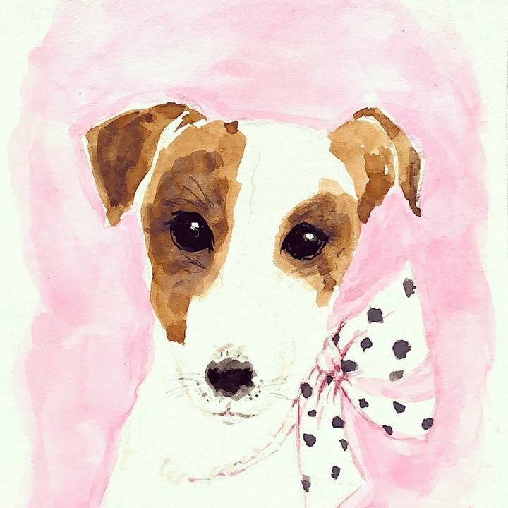 08481c31 e74a 481c 9405 24969ac21215 1650245015083