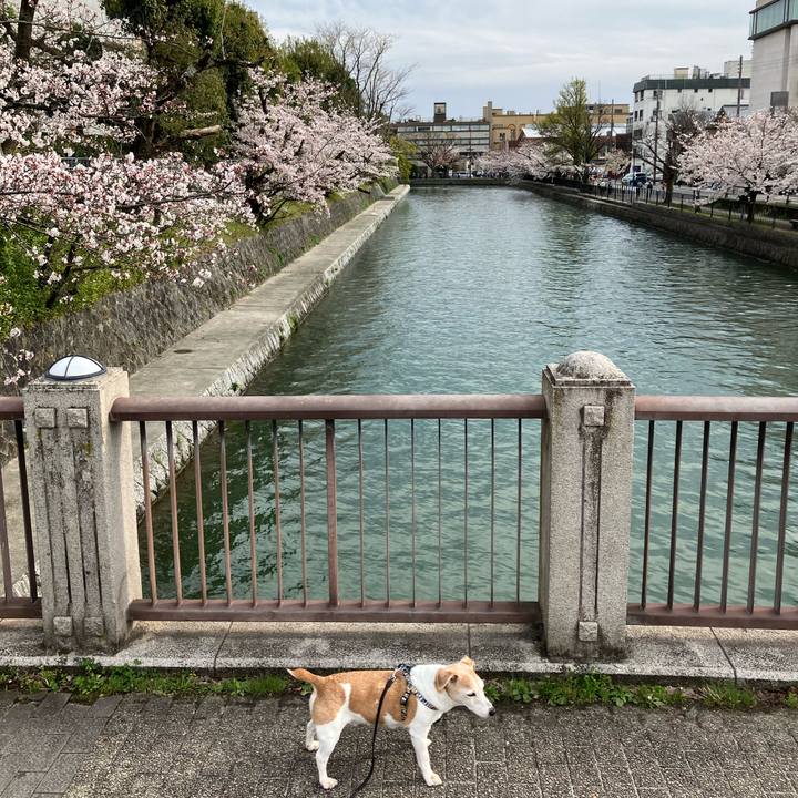 08486a76 e502 4362 9764 09680e385437 1712387936039