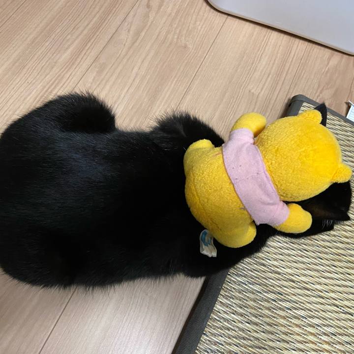 08488aa8 a571 4a3d 8cee 0a3c86609215 1633176995207