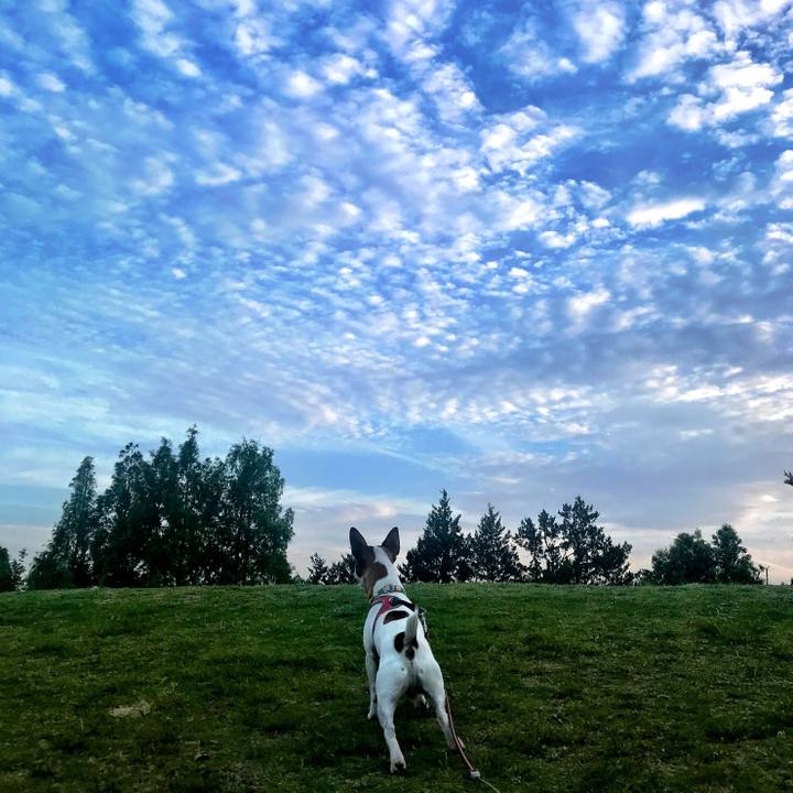 0848d494 44a0 4a85 839d ad8178ad3877 1527424319485