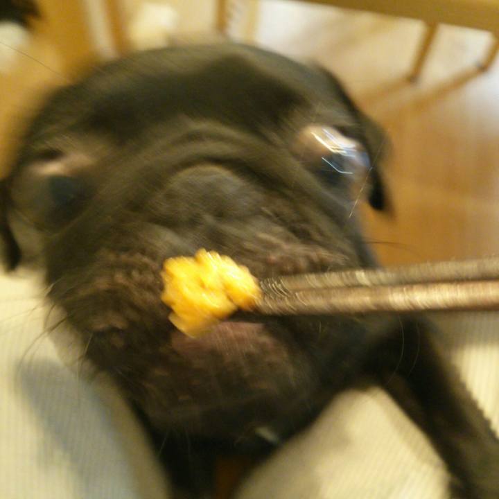 0849298a 48f3 400e babe 627d4b0a65fc 1535428482774