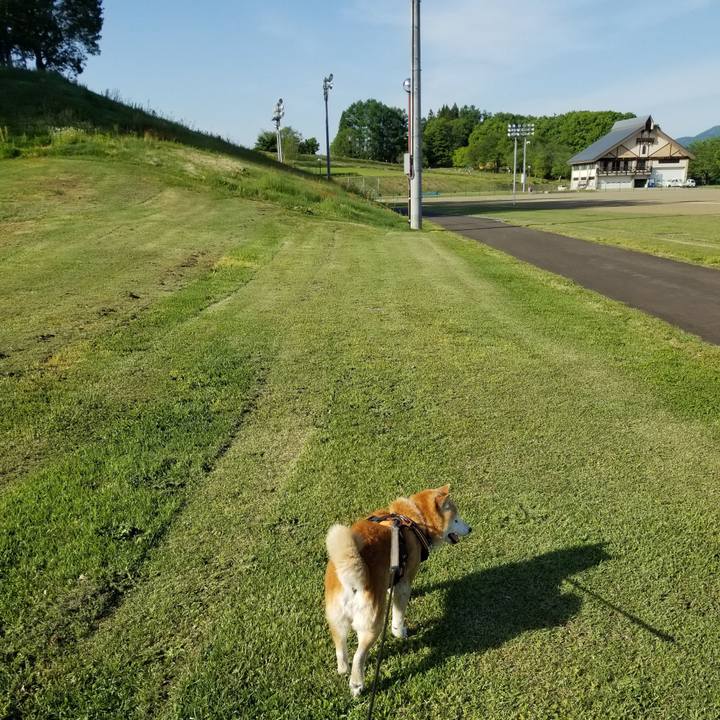 08493ef5 fa5c 45bf 8a45 29f41421f3d2 1715325354012