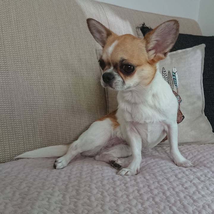 0849727b 7e2a 42f4 abfa e942c8980484 1560985141611