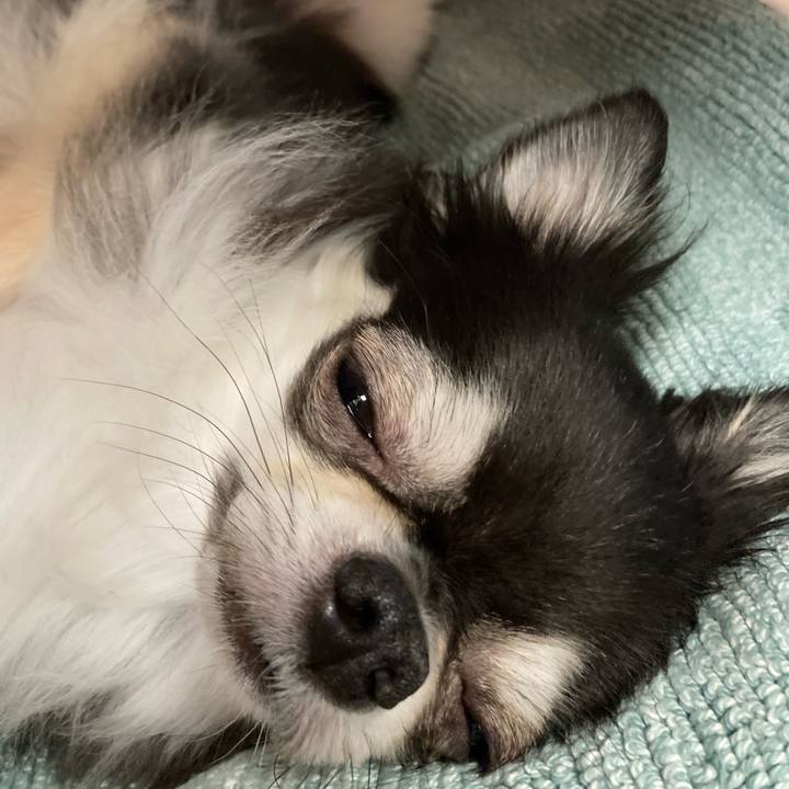 08497c76 17ab 4800 963b c09862b9a3ae 1662298054522