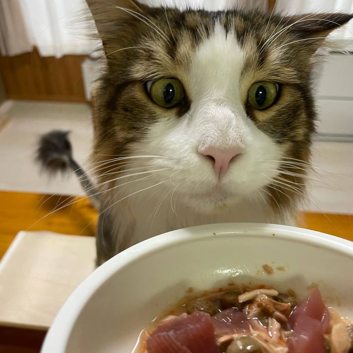 084a0f5e d3a0 4ff7 b2de 236b004e346e 1687947775563