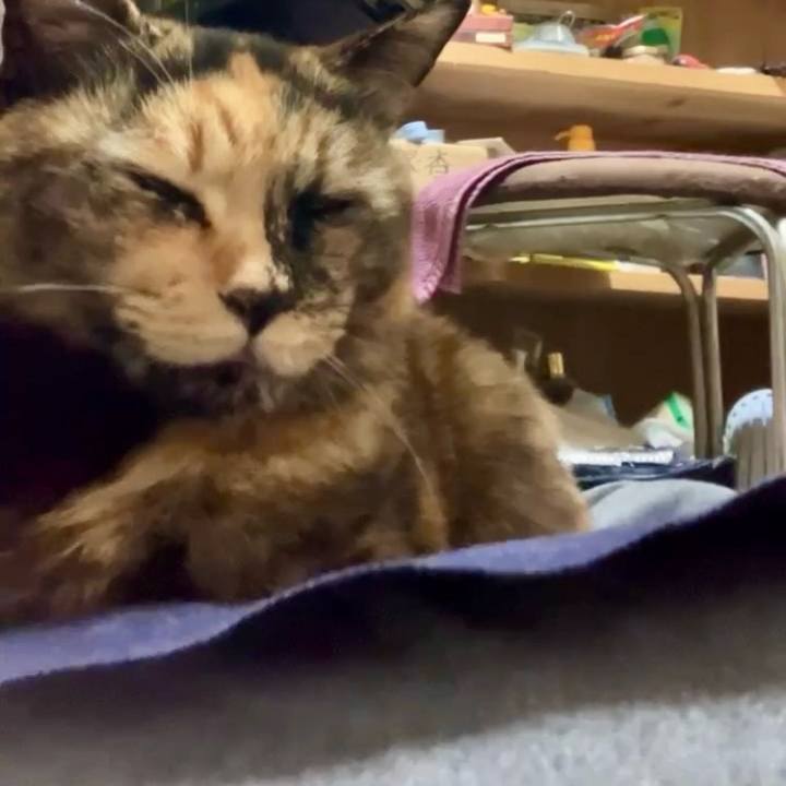 084a5129 ab91 4539 b830 a0b567d2afb7 1734751448848