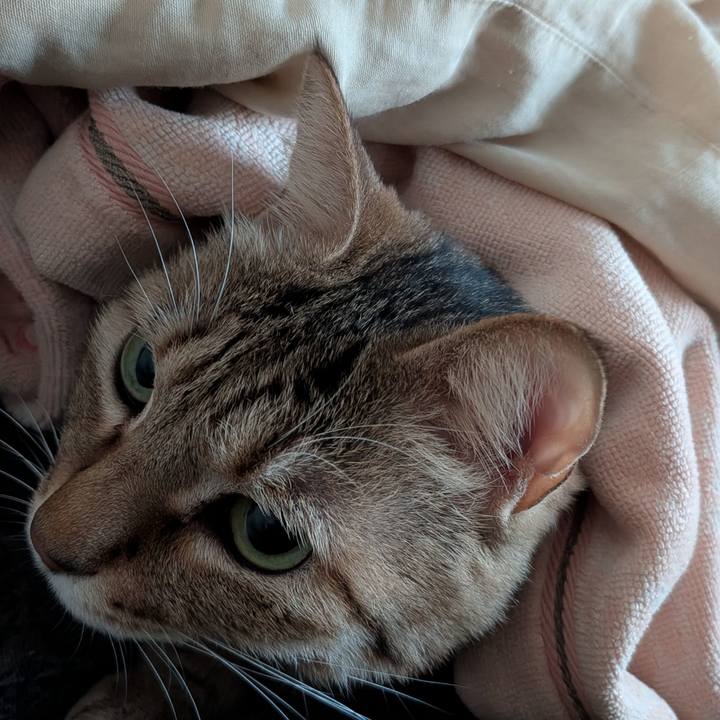 084aa534 0343 4ed4 ad94 1325cee717e0 1768860469180