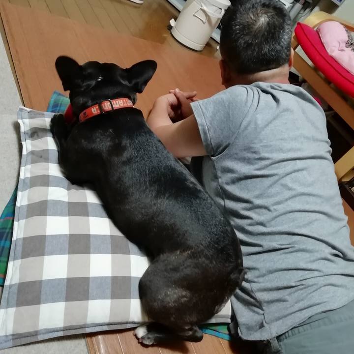 084ae3e2 ab74 48b8 83b1 f87ef61417be 1570363853923