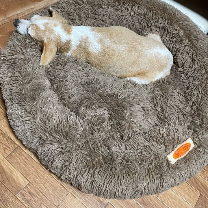 084b2f52 5d11 4b8b 8676 2937d1547333 1613387867442