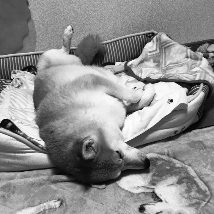 084b303f 316d 4716 a23b d199473c7d77 1605879257817