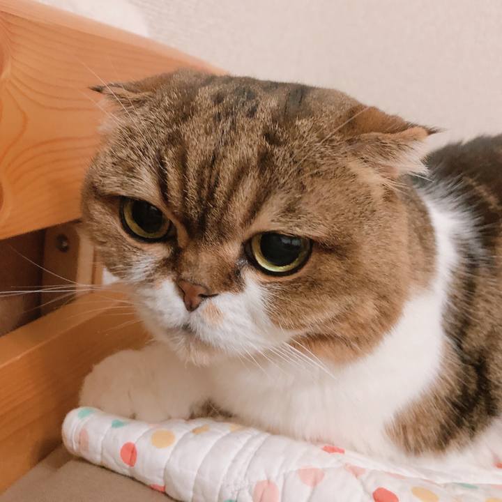 084b8f02 6e8e 4af4 8f0c 6b7da17615ea 1569000042296