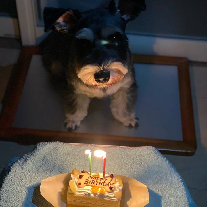 084b9474 cd8d 465e b7da 62e7b9483749 1633963973976