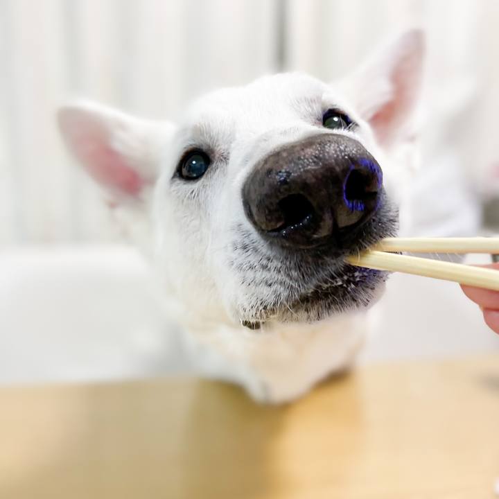 084bae1a d438 43da 9d9a f33672f951f7 1648397404662