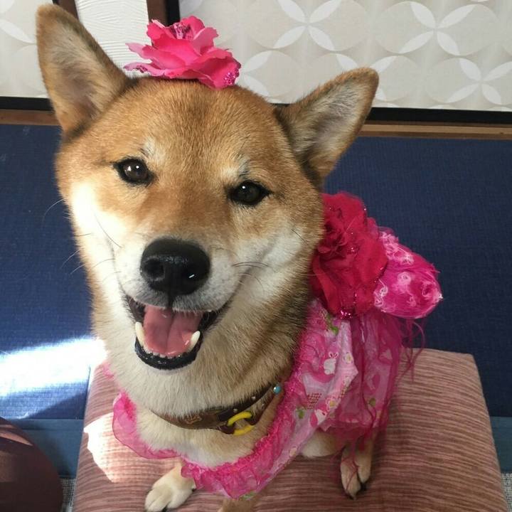 084bf369 eac7 4dd8 8d29 f0a49f046116 1535289158071