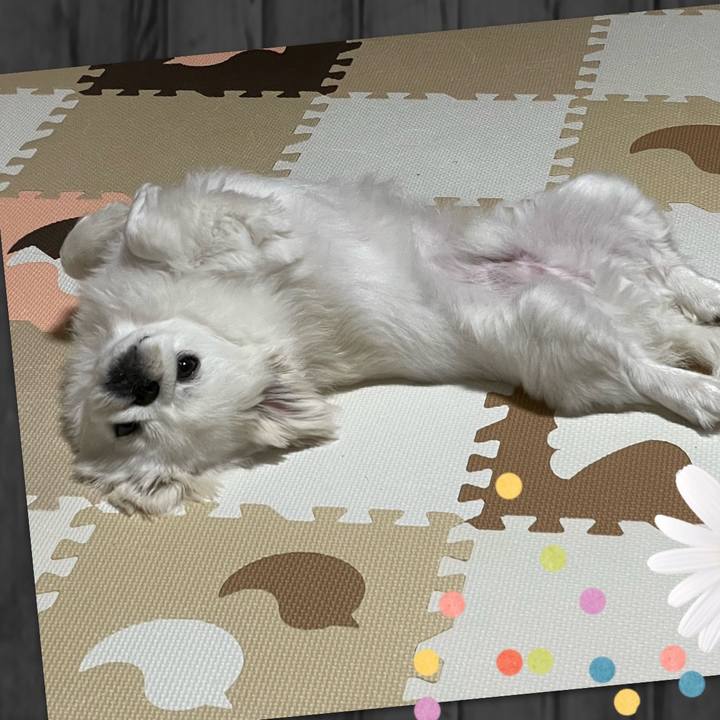 084c4264 232b 4ea9 9111 986a5e4e73b1 1679876252725