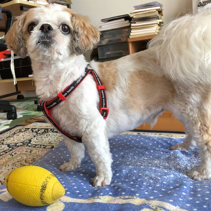 084c6c04 a6d0 4651 9ea8 543356a2557d 1564436815931