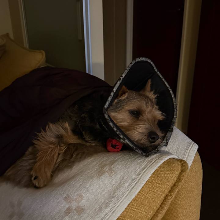 084c9308 eebe 4d7d adcf d18e89f3a00e 1770762232098