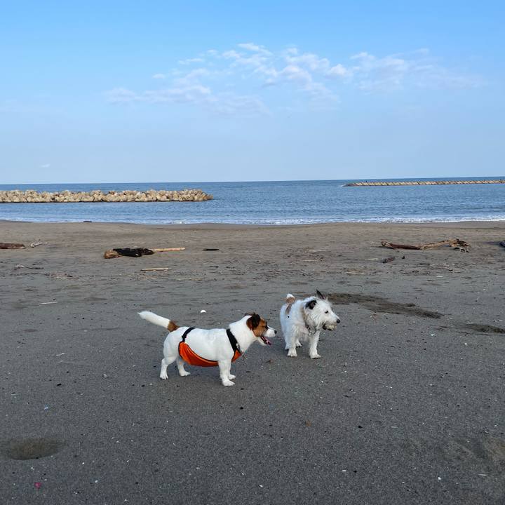 084cd7ee d194 49c5 9a4c 1e0481816e0c 1699144690936