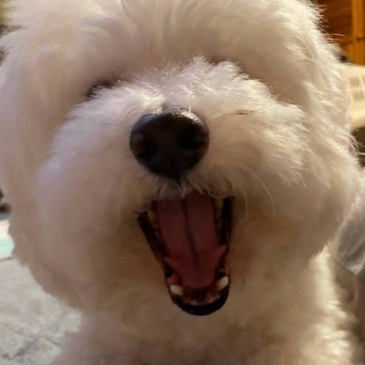 084d22f7 d9b1 45a9 ace5 09df2643dcb6 1751457641466