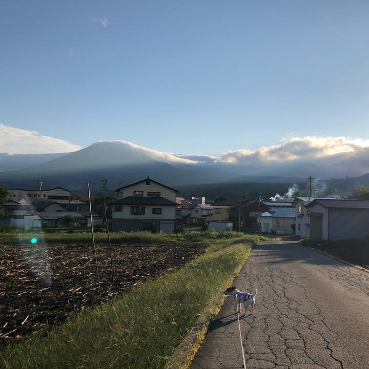 084d5a76 4585 4fdc b654 12d065102391 1568372088342