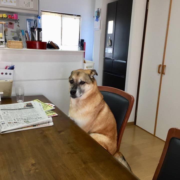 084d665a 13bf 488b b611 f370aca35deb 1538094604411