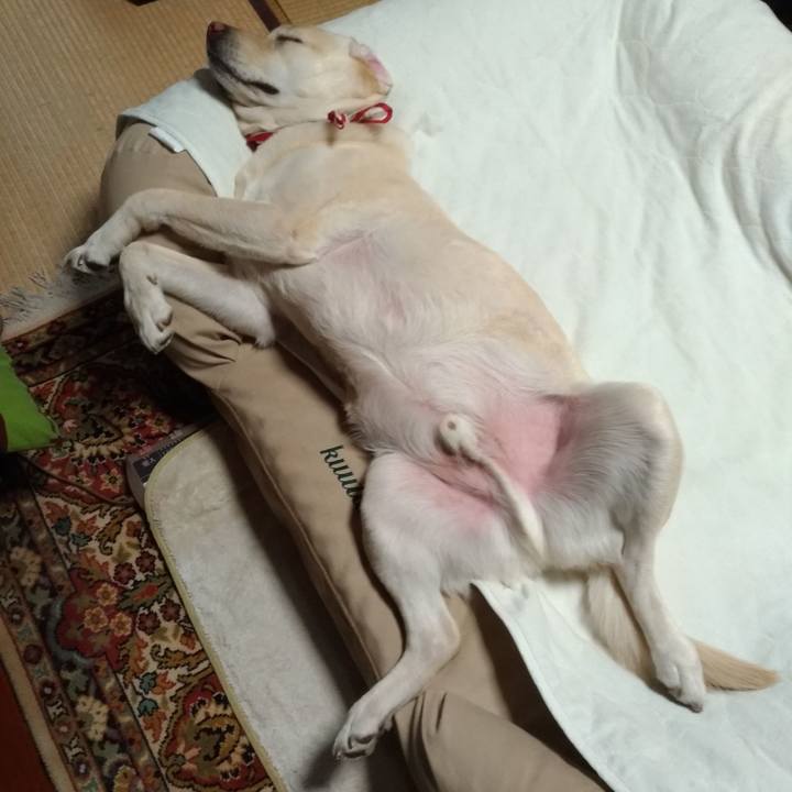 084d703b 9ab8 4b9e a8ce 81c9e1049a1e 1613345151559