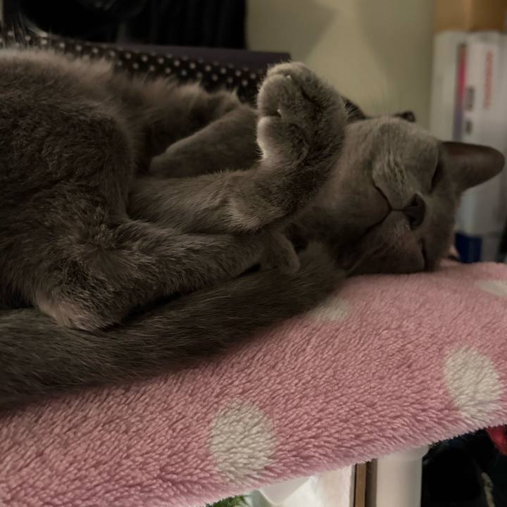 084d84f1 20e2 47db b908 3e5d464fbf84 1760575257819