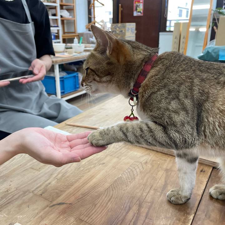 084dcd22 4b62 4cf4 aed0 70255b5022a6 1687401929707