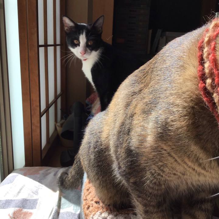 084df14c e33b 4681 a52e 59762ded67ce 1630986696565