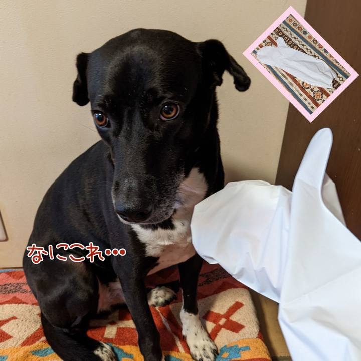 084e90b4 f9f3 4b70 b890 ce75529d4a4e 1654167140827