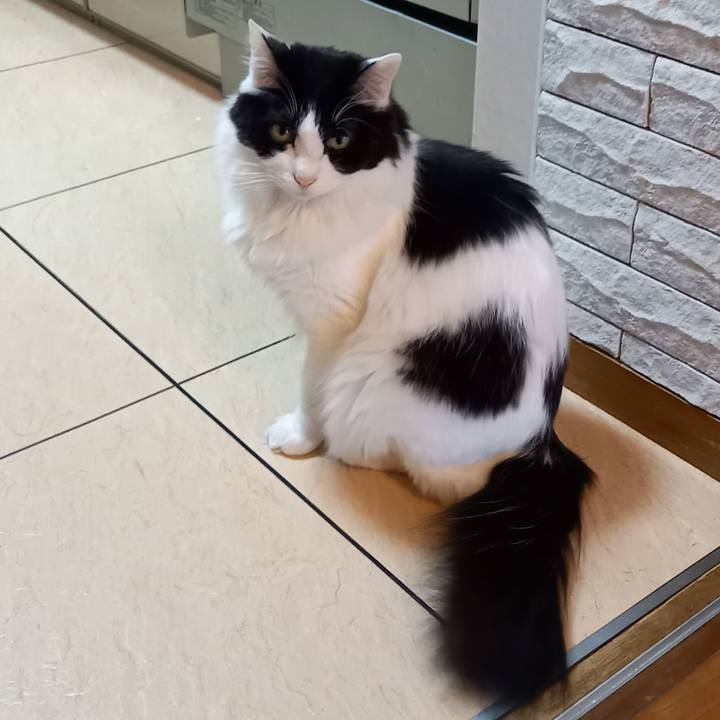 084ea46b c924 4bc3 a9f2 314ae007b912 1619048452421