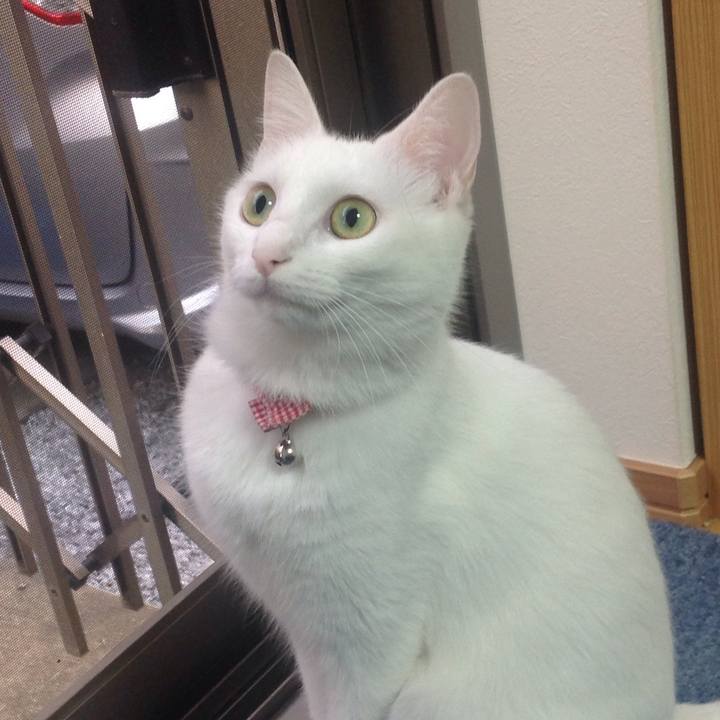 084ebe1c 4df3 41e0 a1e4 62ae8a0d003b 1627422487565