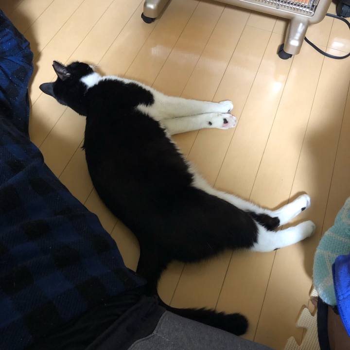 084edcf2 cd74 4c0d 9fe1 15d4761a7d09 1547291283091