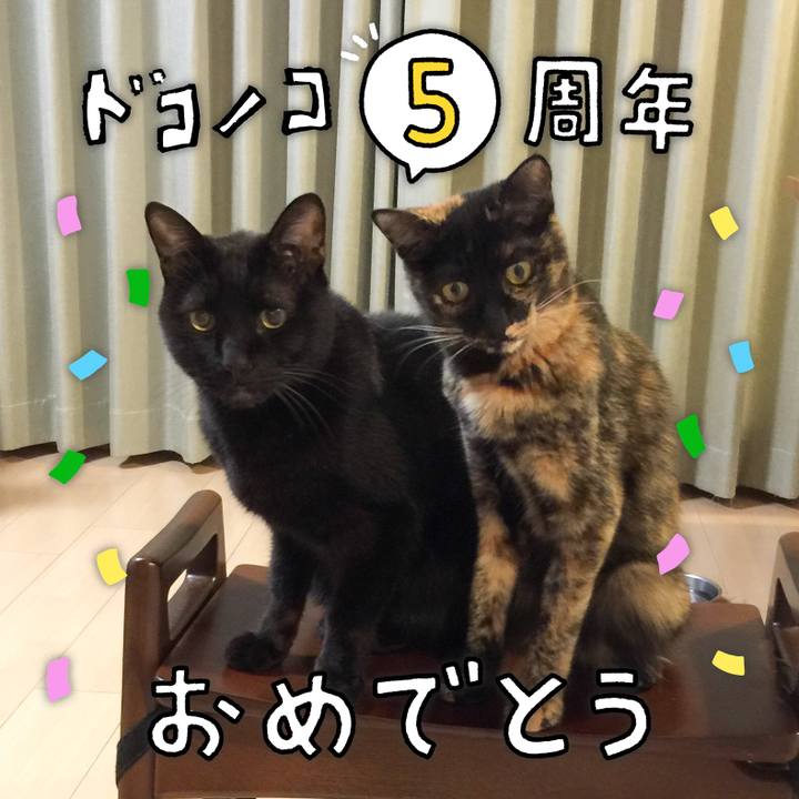 084f0ed5 0c27 4515 bf2c 82864689045f 1622941285683