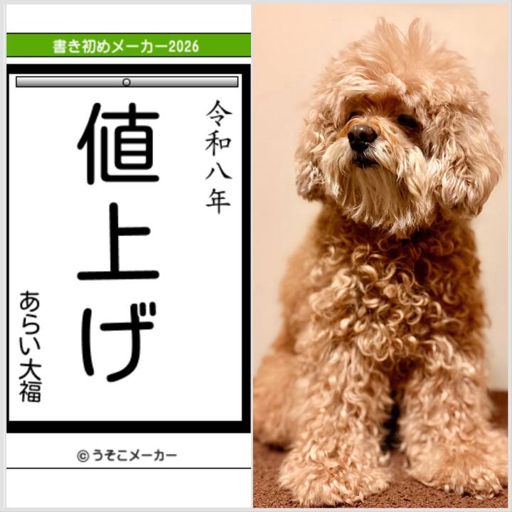 084f574a 0e0a 44de be6a 65868ba9105d 1767441178492