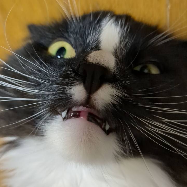 084f7384 067c 4fe8 9b1f 6676cde00eea 1683808806599