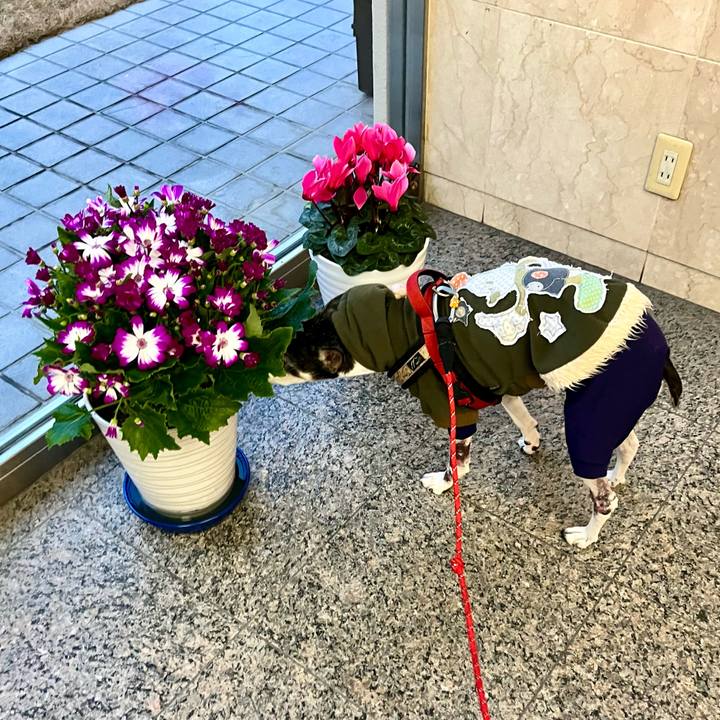 084f7b84 5dcc 4329 ad36 6350800cc10b 1646170504818