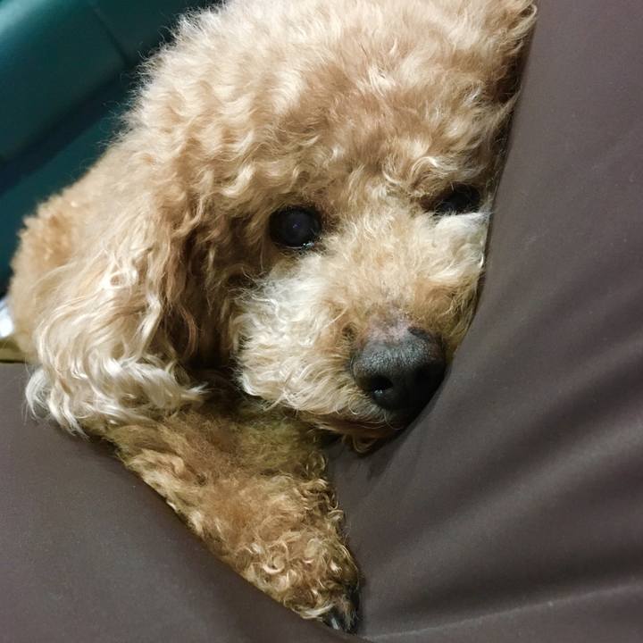 084fdbfd 61bd 40ad b342 8991fc382bbf 1521902915363