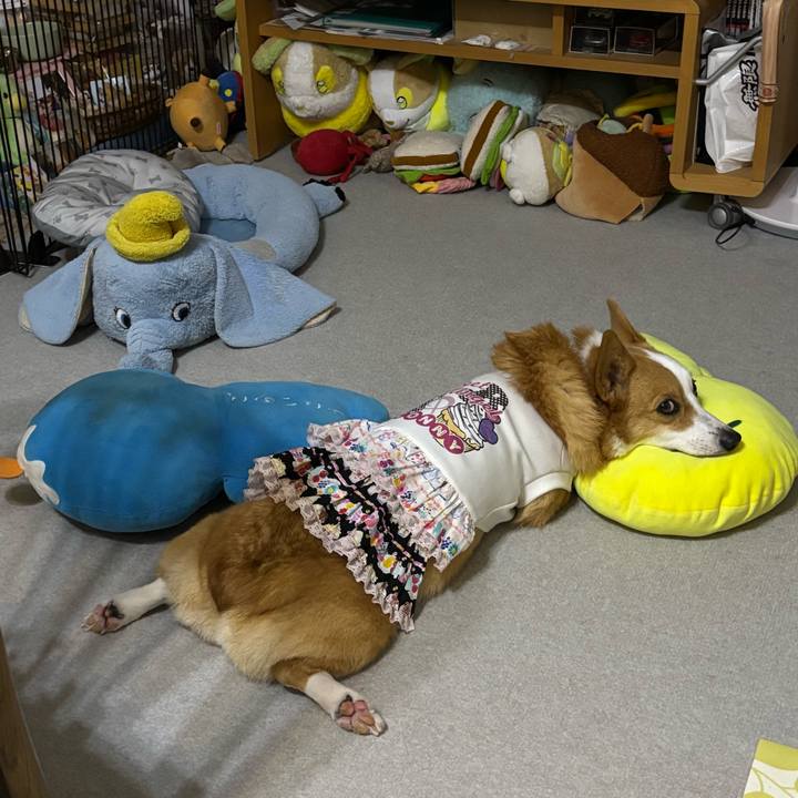 084ff5c9 da8d 4b22 aeb8 da27dca57738 1759921673820