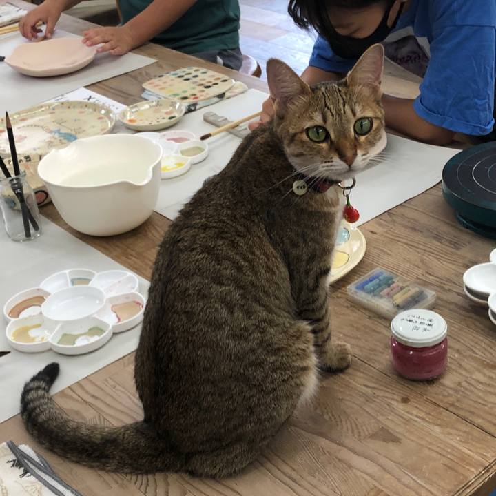 08501b83 4648 446e 89e3 e49b952f8ac5 1659328173670