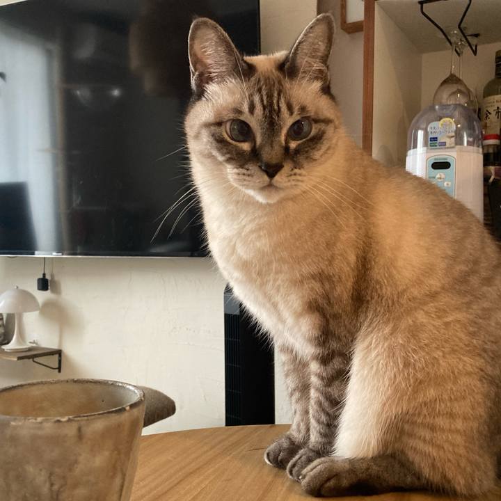 08503d50 cb77 44d3 b71d a3fb01873f40 1762565483522