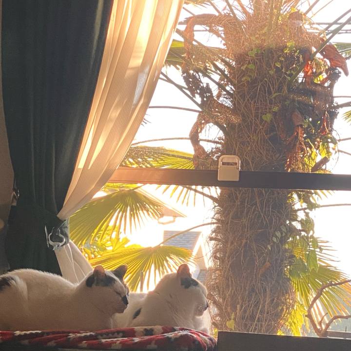 085062ee 0f32 4e3c 9083 a6359231d00d 1717495358146