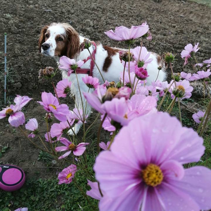 085083d7 4b62 45c2 923b 7827b67b2dd0 1606786439482