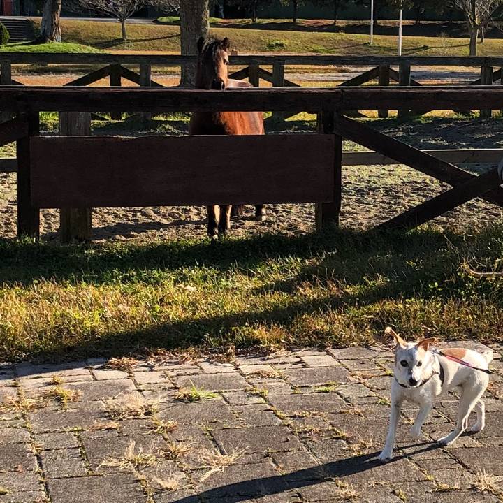 085110f6 9622 47de 9ed7 ca86f6e46597 1512305622075