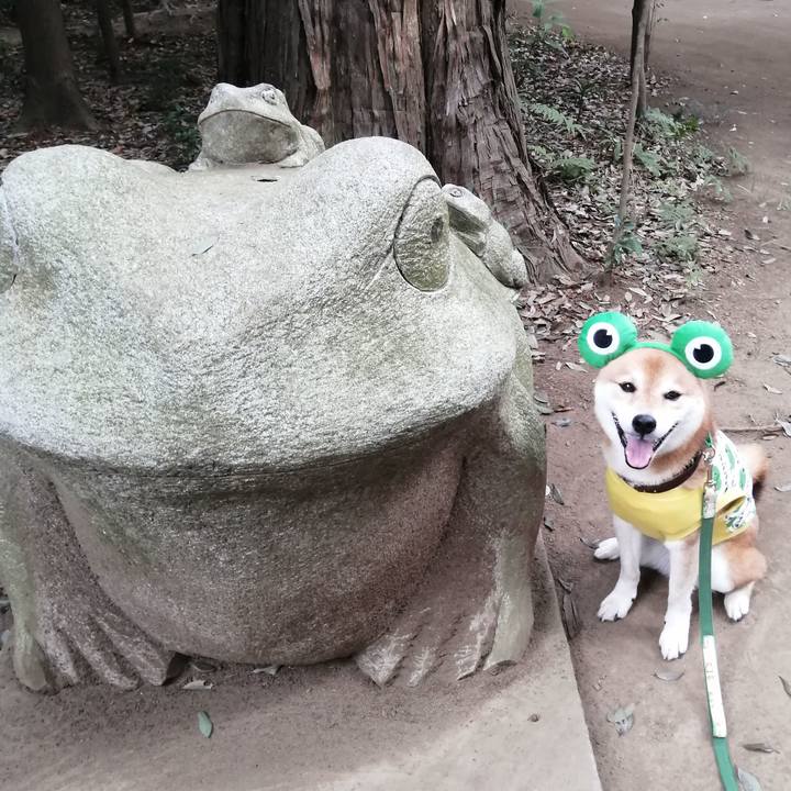 085130d9 0a49 4512 8fa3 a64fa2bb91c6 1656818970220