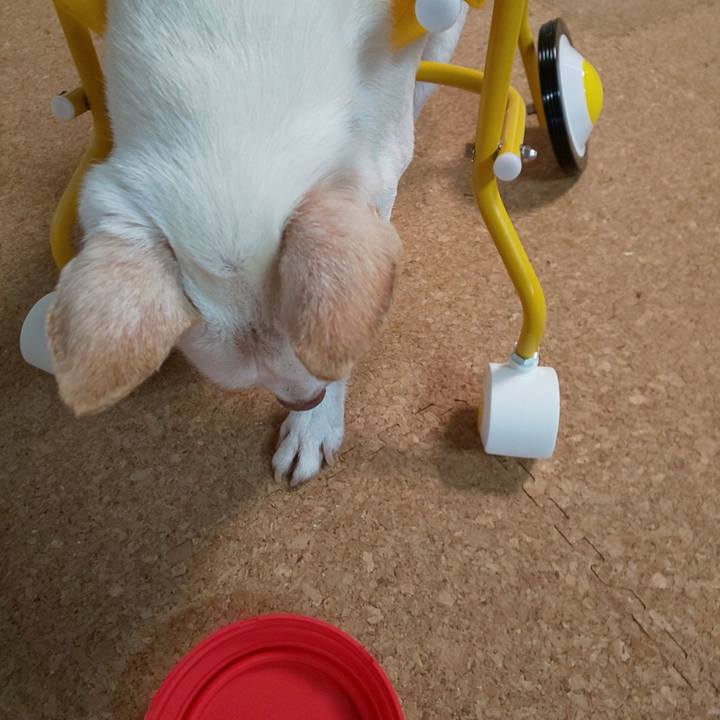 08515ff1 f215 453a 9cba 2b5740c54edb 1598031300742