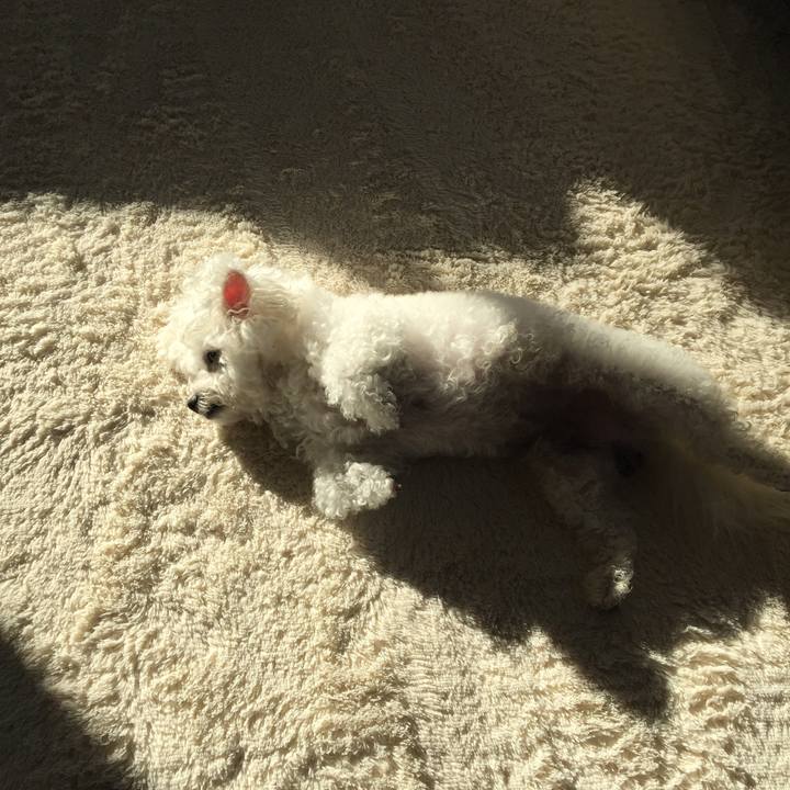 0851a784 846f 4058 9aa0 ac2e9f1d00a9 1541113639349